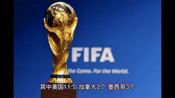 2026世界杯预测实时动态分析
